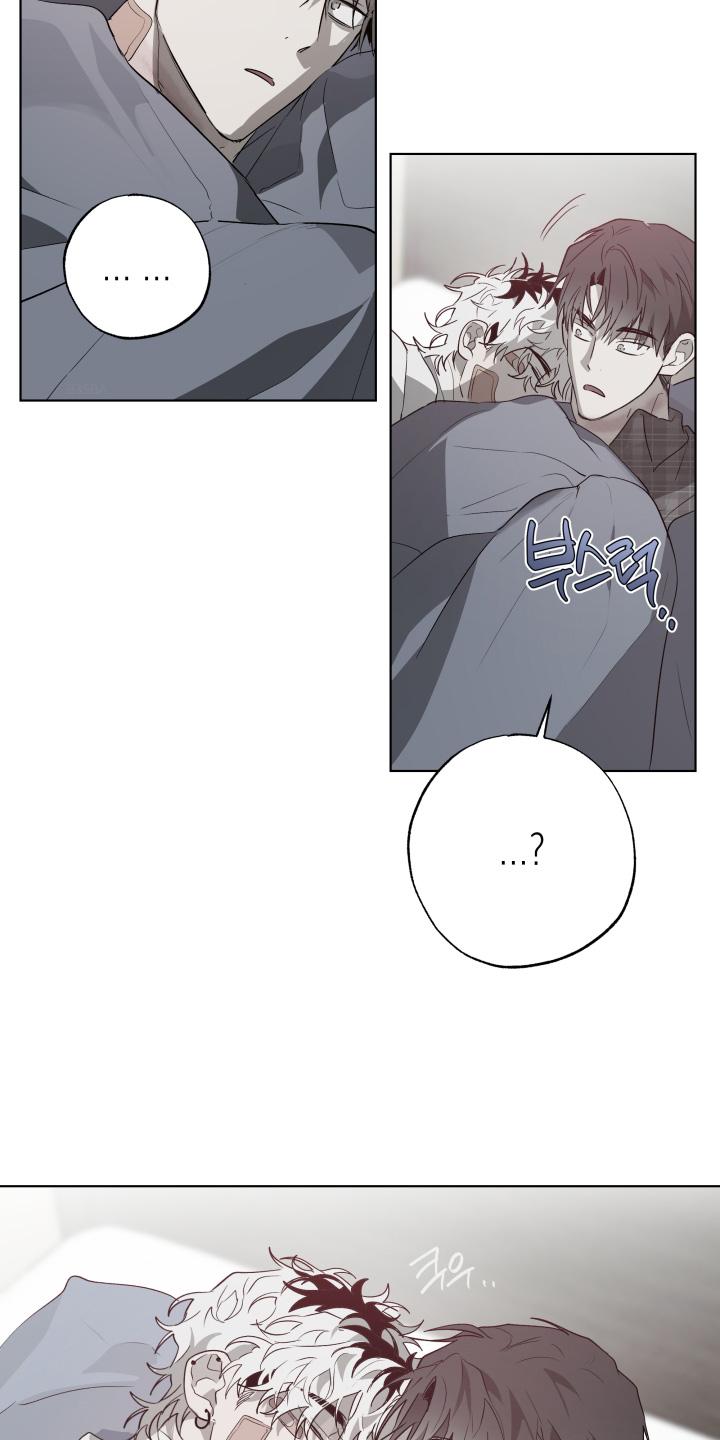 《前世梦魇》第40章：真的睡着了 第2页
