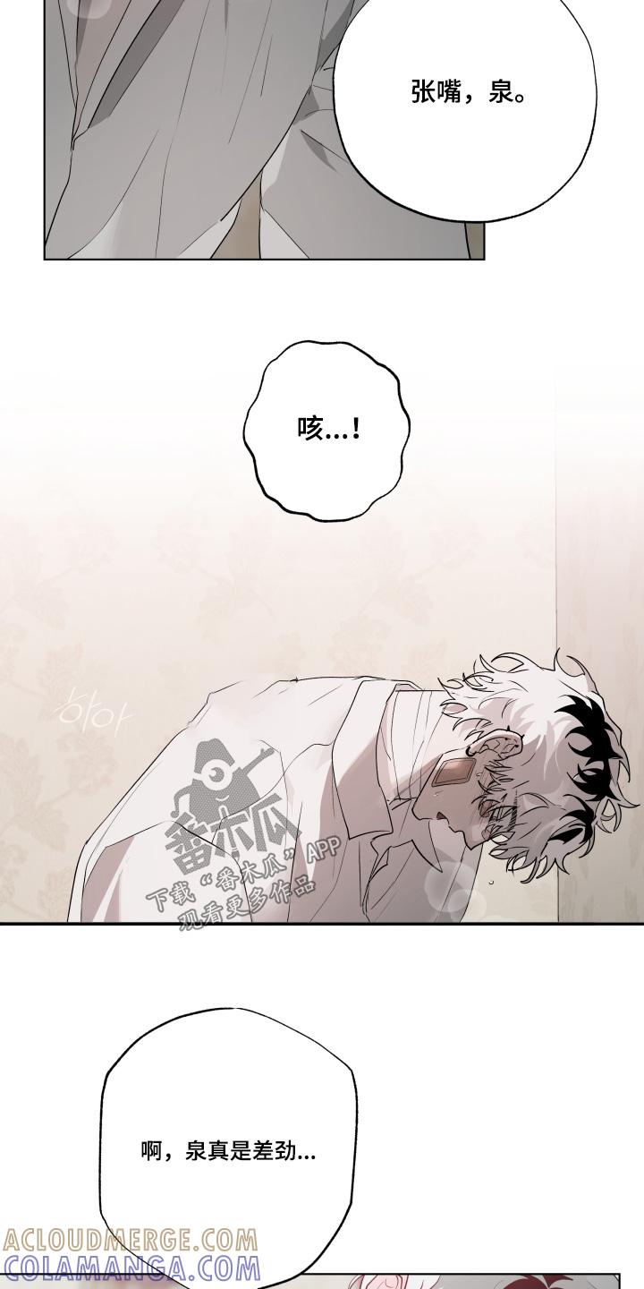 《前世梦魇》第41章：哪里学的 第13页
