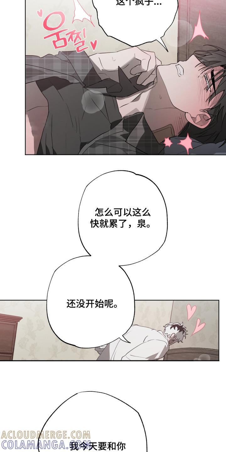 《前世梦魇》第41章：哪里学的 第19页
