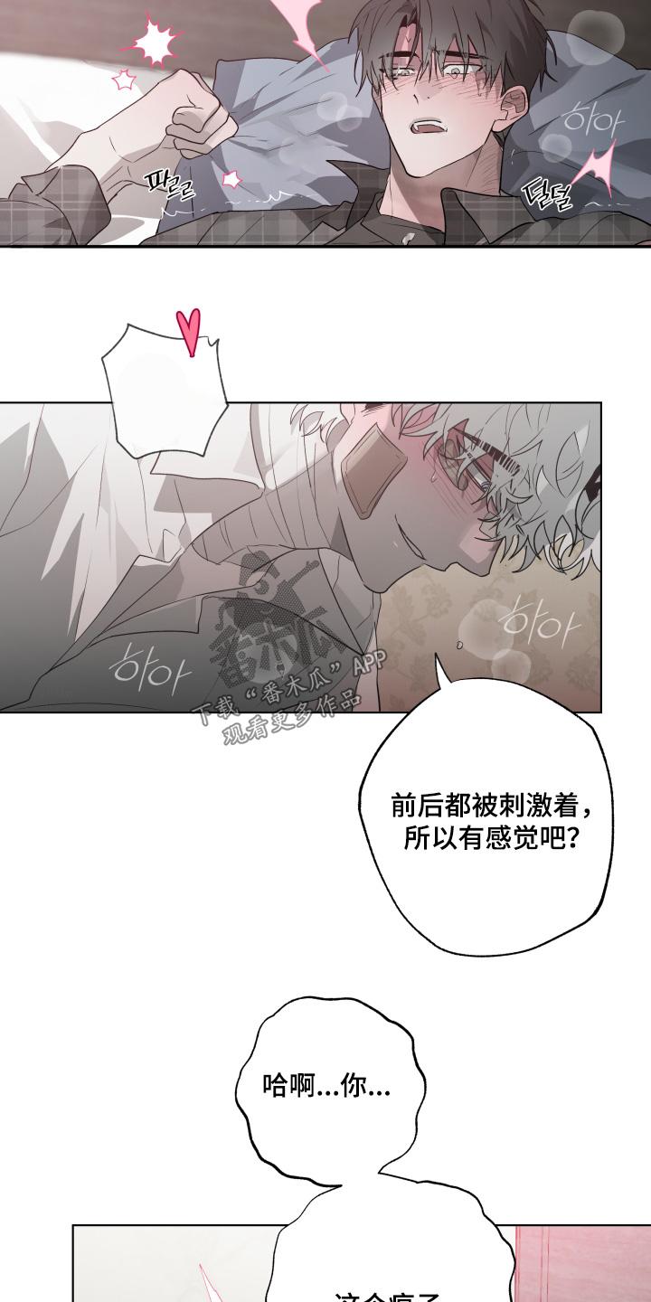 《前世梦魇》第41章：哪里学的 第18页