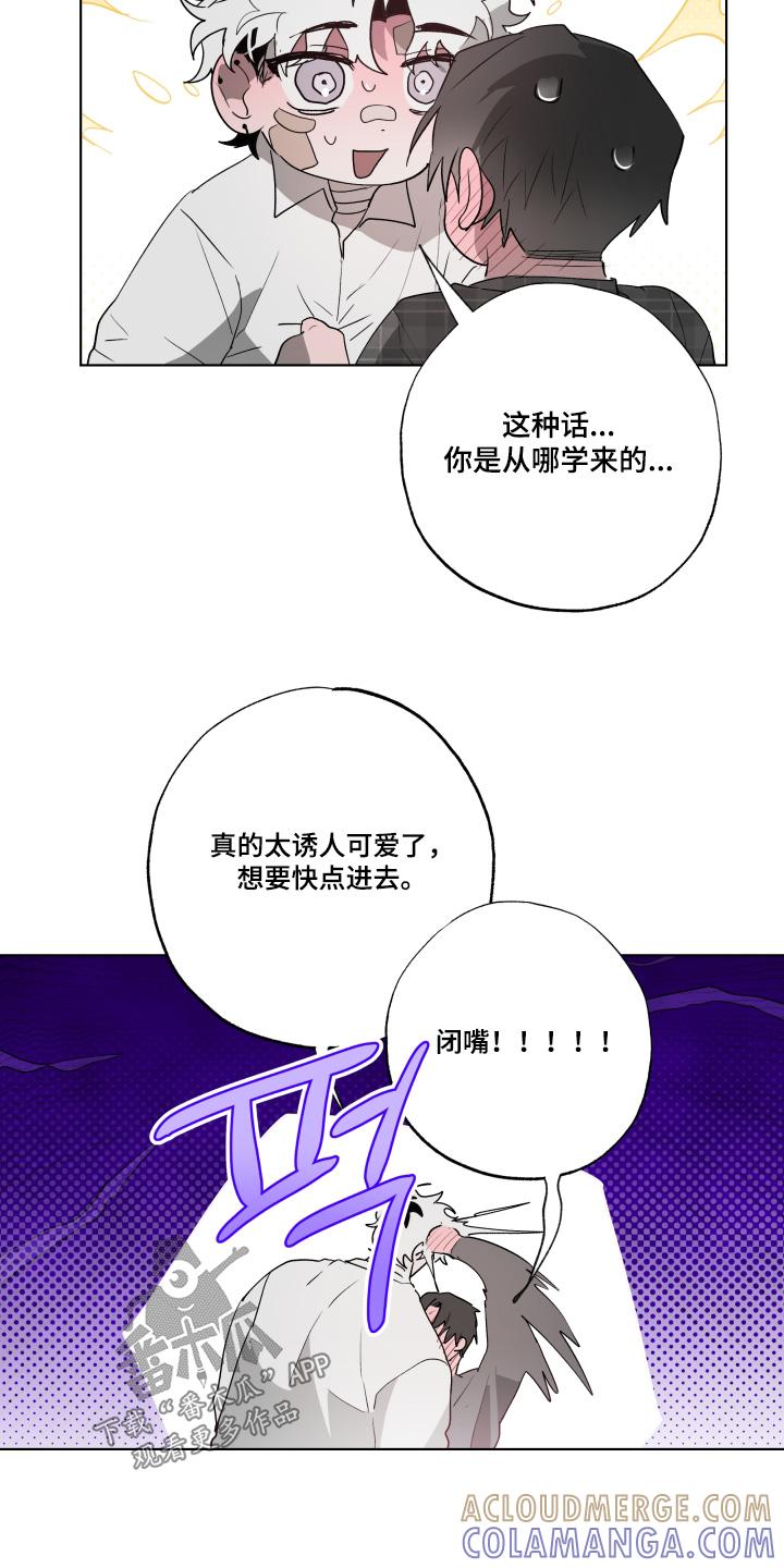 《前世梦魇》第41章：哪里学的 第7页