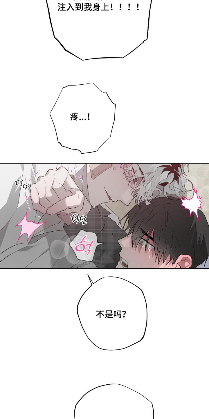 《前世梦魇》第41章：哪里学的 第16页
