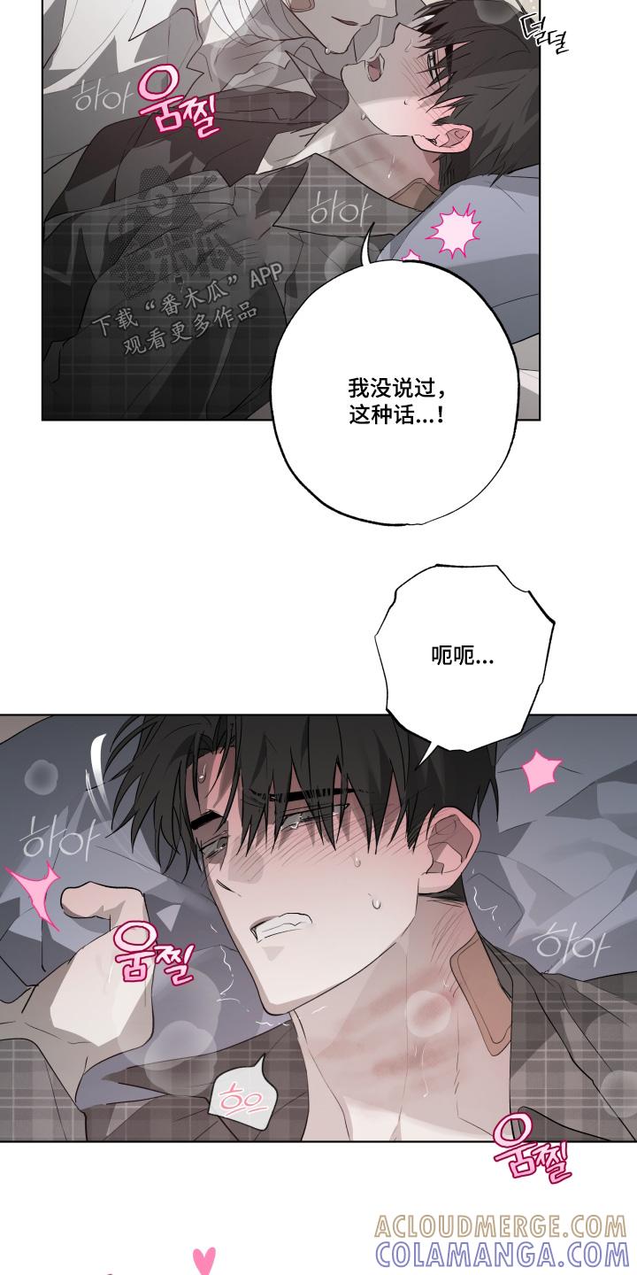 《前世梦魇》第41章：哪里学的 第3页