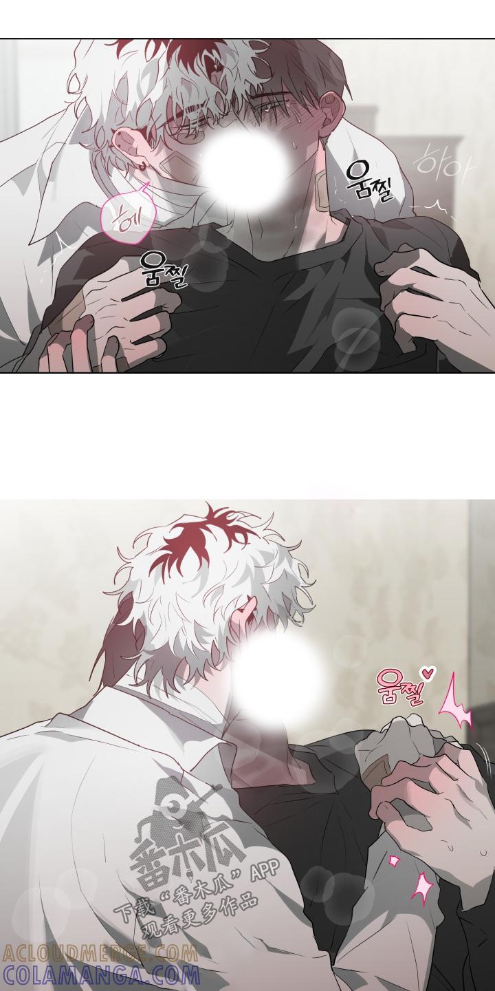 《前世梦魇》第42章：不如担心自己 第3页