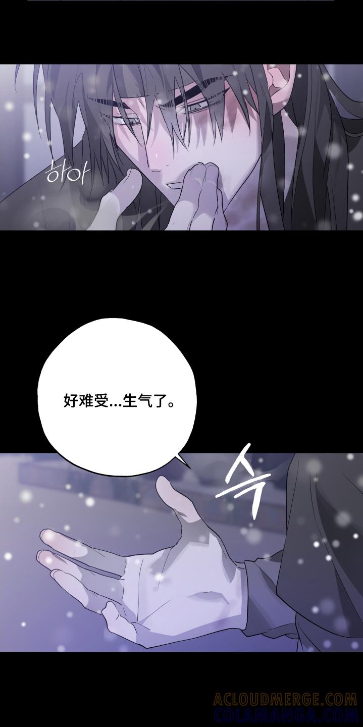 《前世梦魇》第43章：还记得我吗 第13页
