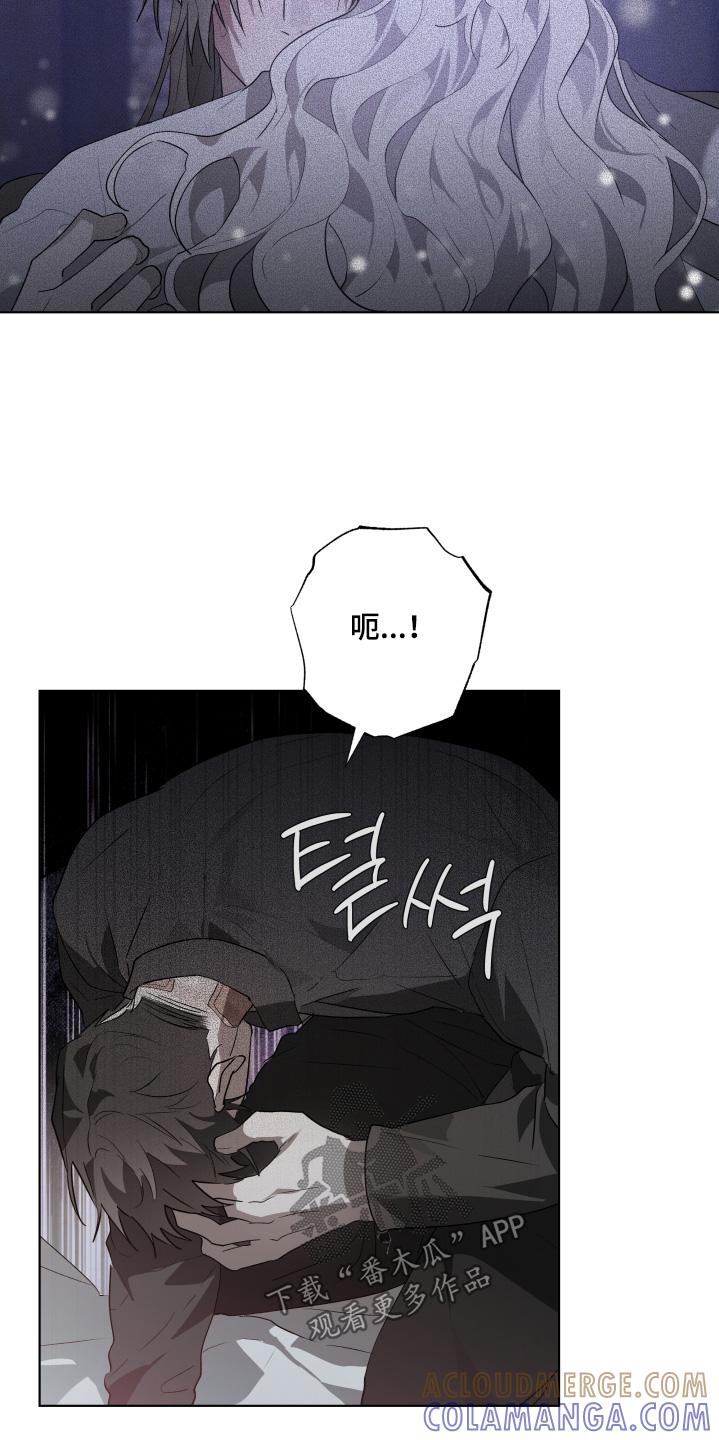 《前世梦魇》第44章：发生了什么事 第19页