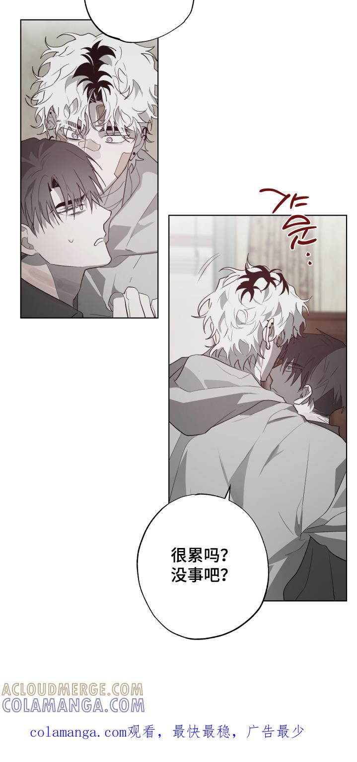 《前世梦魇》第44章：发生了什么事 第25页