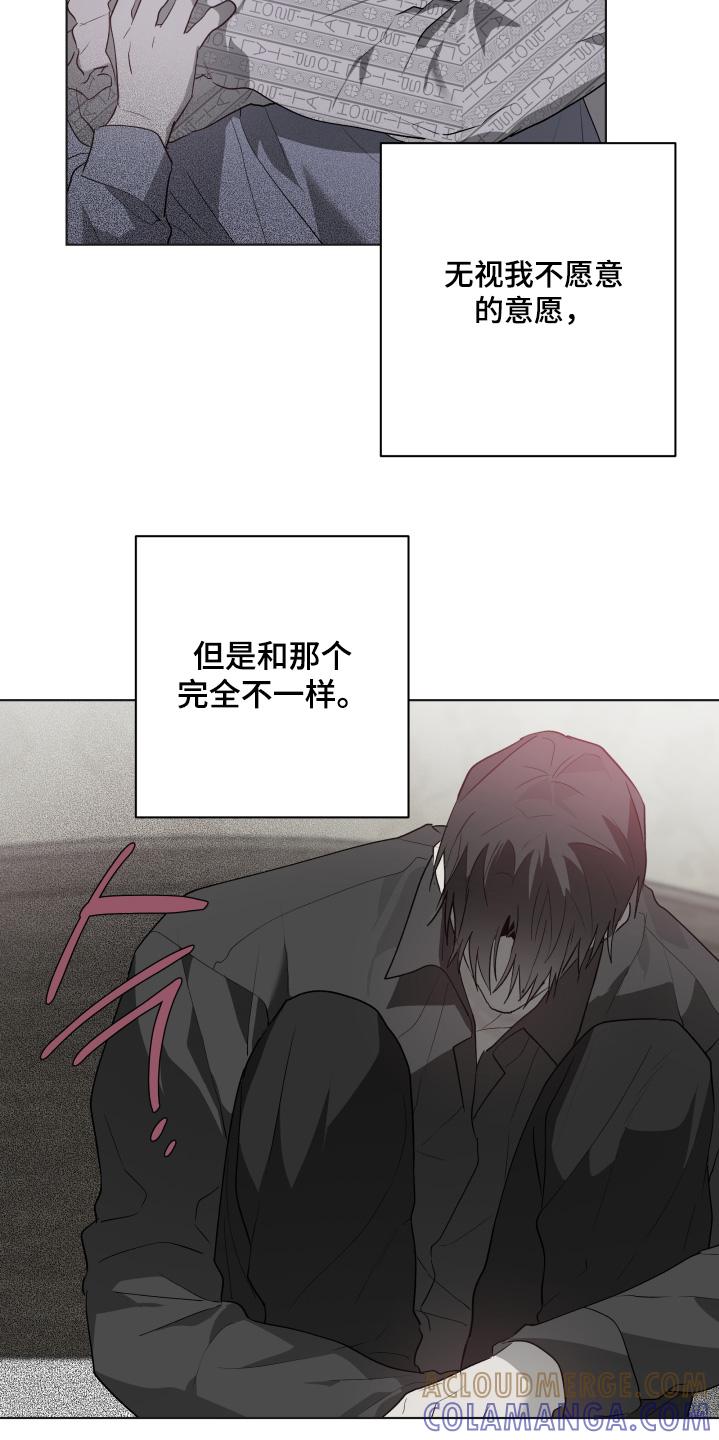 《前世梦魇》第44章：发生了什么事 第11页