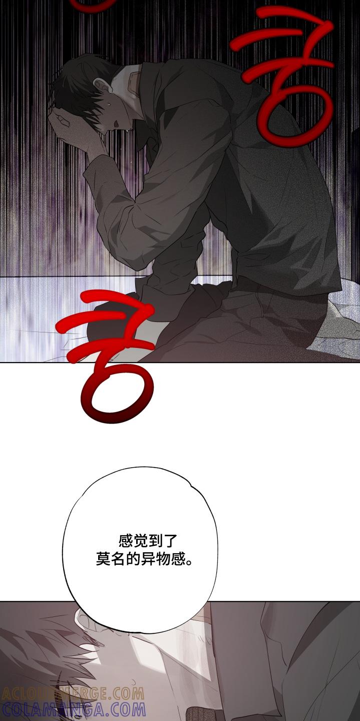 《前世梦魇》第44章：发生了什么事 第21页