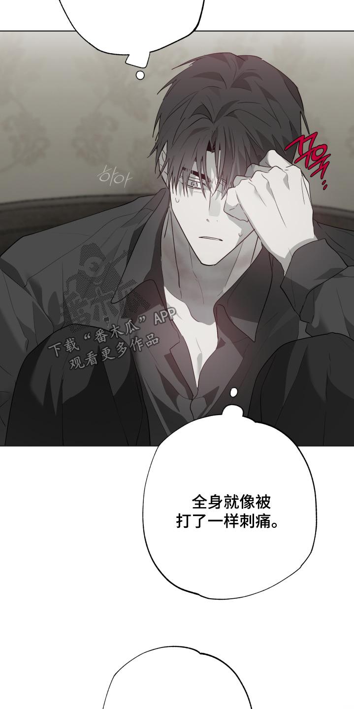 《前世梦魇》第44章：发生了什么事 第14页