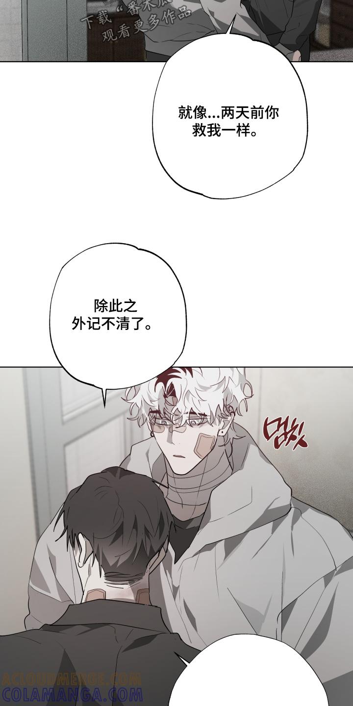 《前世梦魇》第45章：试探一下（第一季完结） 第11页