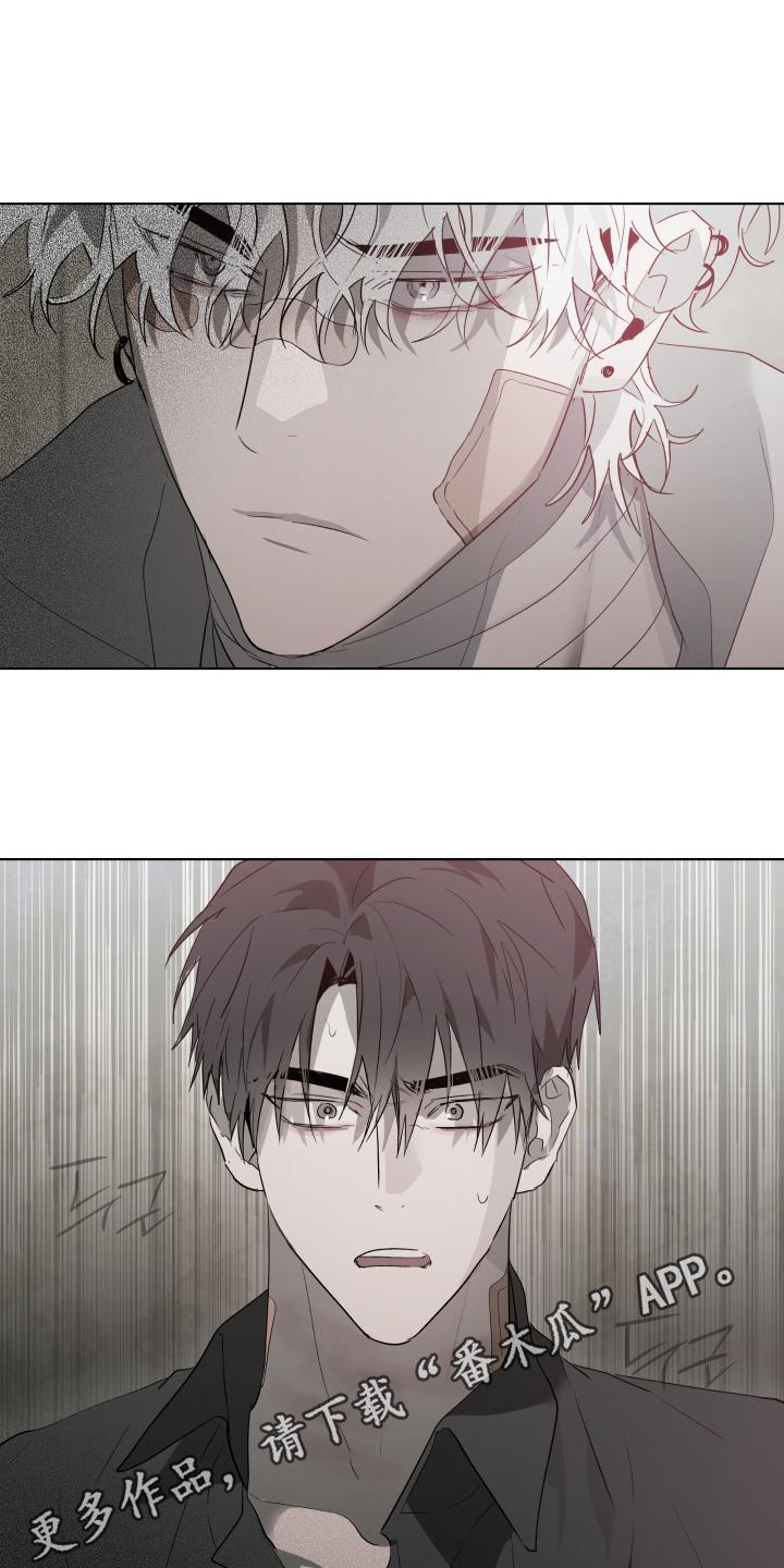 《前世梦魇》第45章：试探一下（第一季完结） 第24页