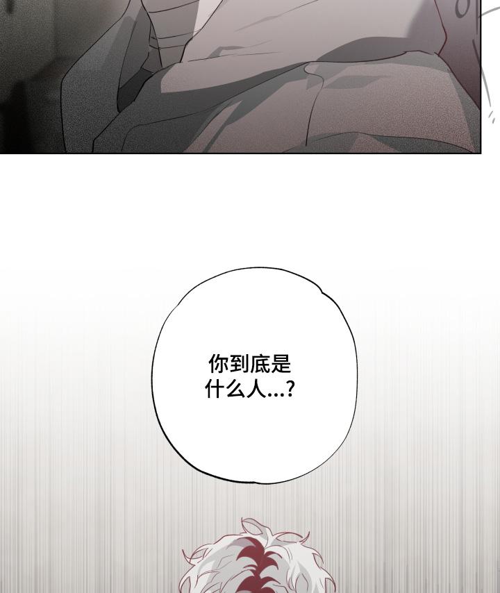 《前世梦魇》第45章：试探一下（第一季完结） 第22页