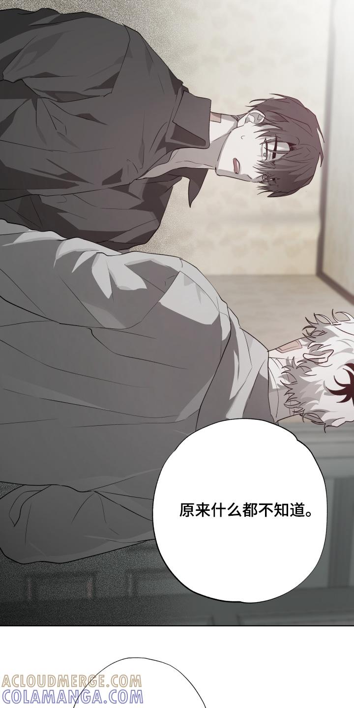 《前世梦魇》第45章：试探一下（第一季完结） 第17页