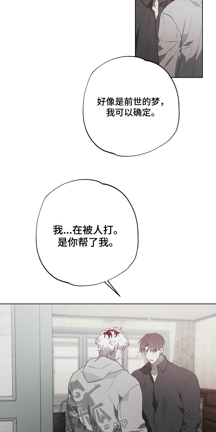 《前世梦魇》第45章：试探一下（第一季完结） 第10页