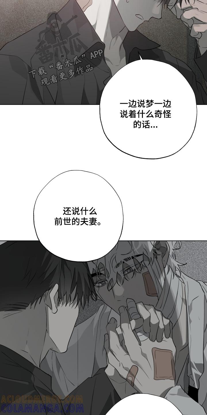 《前世梦魇》第45章：试探一下（第一季完结） 第19页