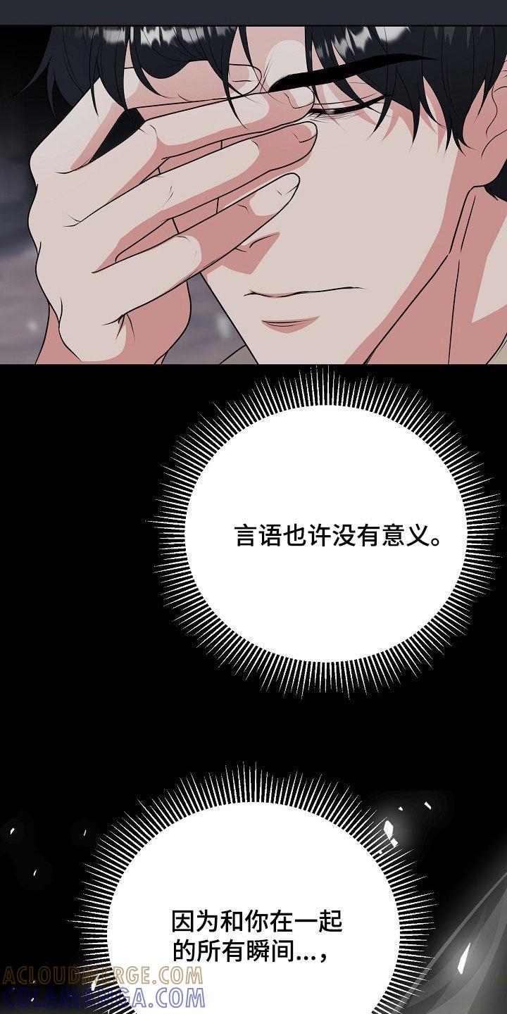 《冒牌恋人》第54章：最后的宣言 第13页