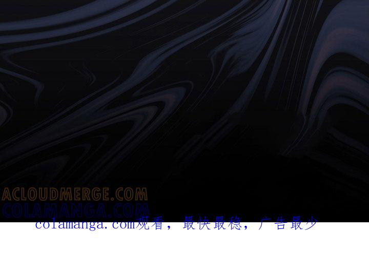 《冒牌恋人》第54章：最后的宣言 第33页