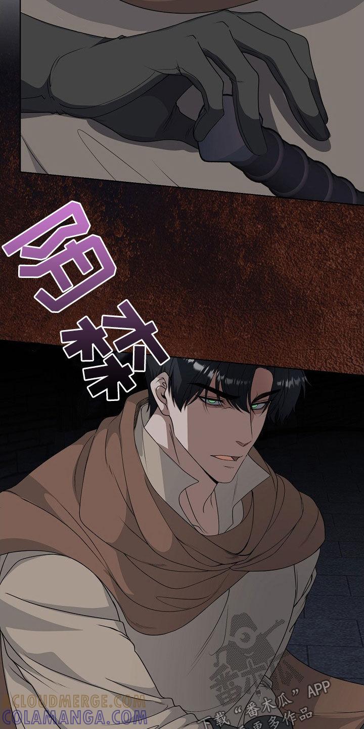 《冒牌恋人》第55章：气运 第13页