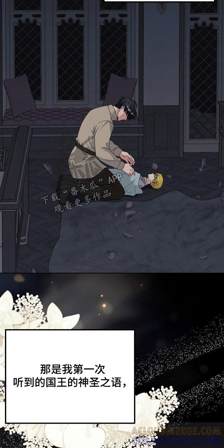 《冒牌恋人》第55章：气运 第3页