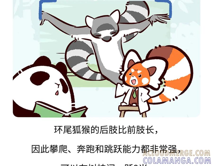 《胖达x胖达》第265话 第27页
