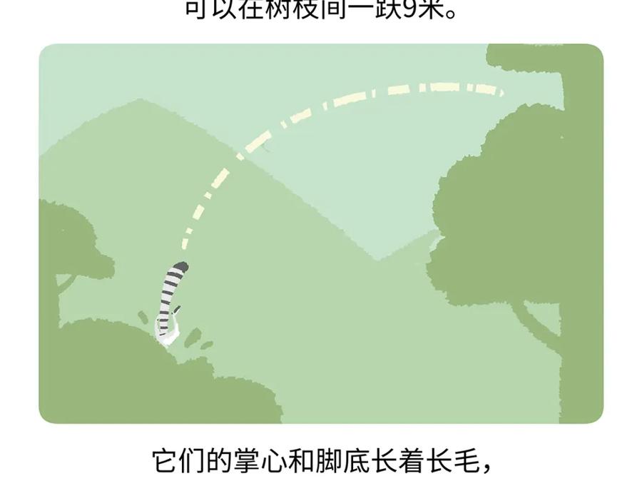 《胖达x胖达》第265话 第28页