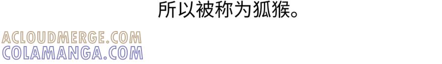 《胖达x胖达》第265话 第25页