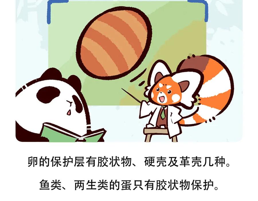 《胖达x胖达》第83话 第26页