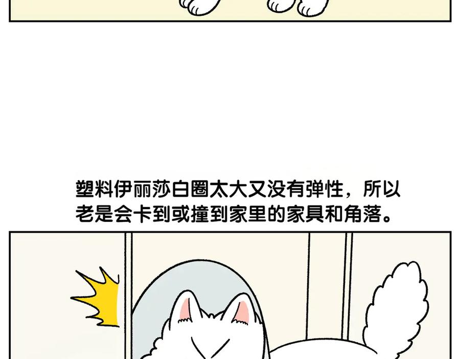 《我的狗子叫棉花》第43话 治疗眼病(2) 第45页