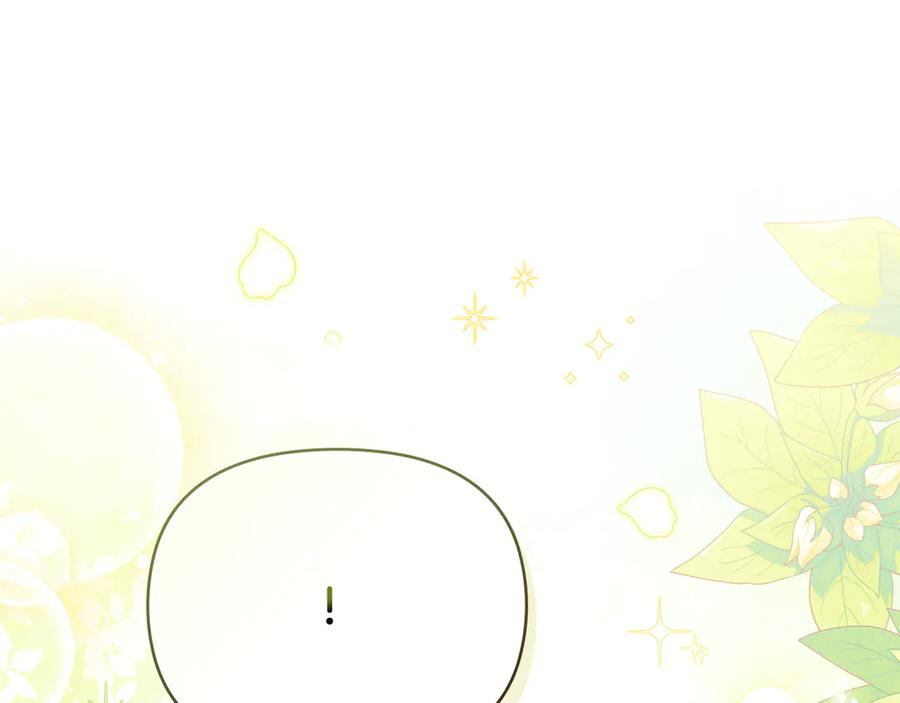 《公爵大人，请别太靠近》番外 第2话 寻宝游戏 第79页
