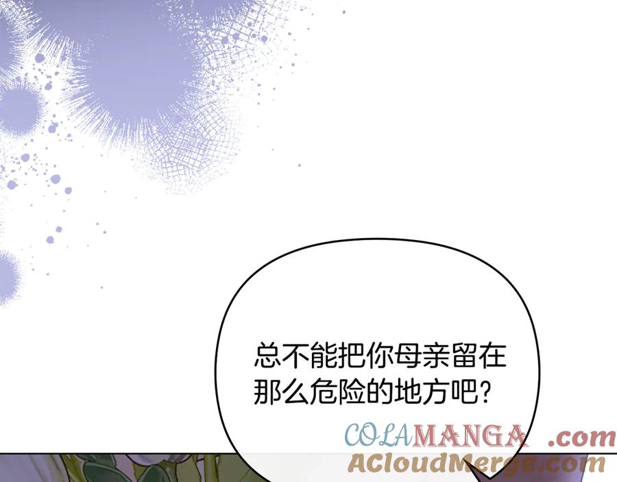 《公爵大人，请别太靠近》第100话 我要迎娶你 第17页