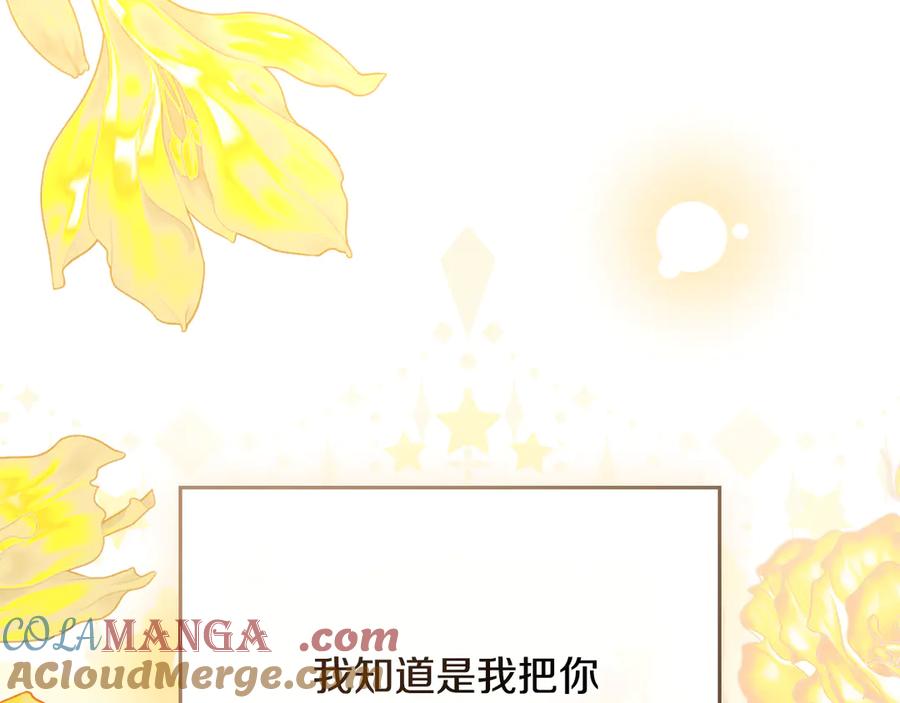 《公爵大人，请别太靠近》第100话 我要迎娶你 第161页