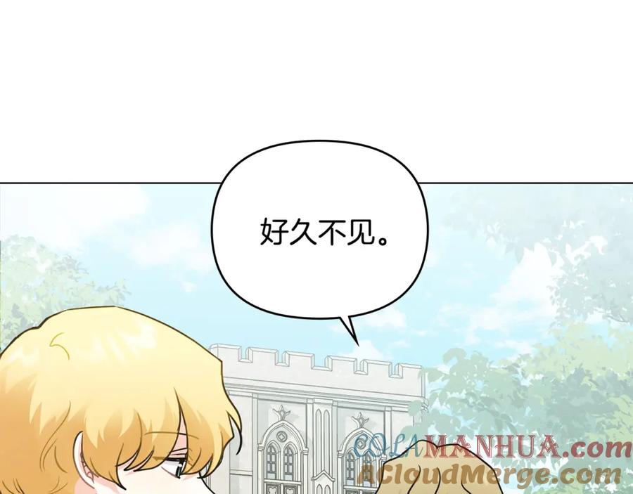 《公爵大人，请别太靠近》第36话 伪装成贵族小姐 第17页