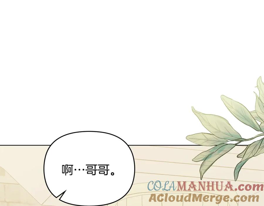《公爵大人，请别太靠近》第51话 哥哥征服社交圈 第100页