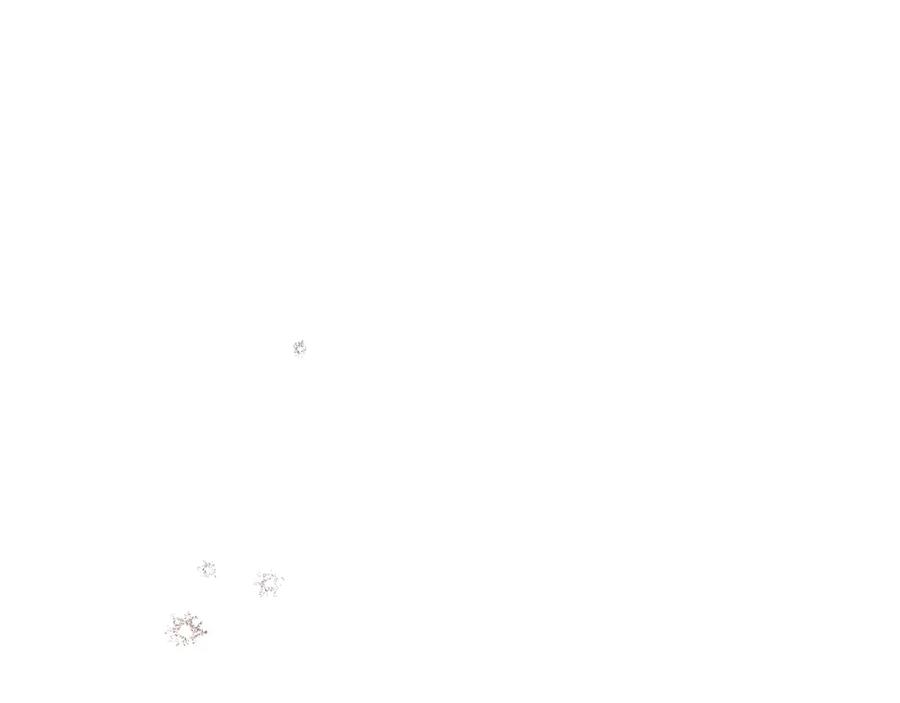 《公爵大人，请别太靠近》第63话 战争一触即发 第98页