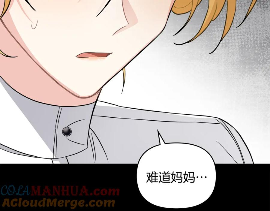 《公爵大人，请别太靠近》第78话 战争结束 第117页