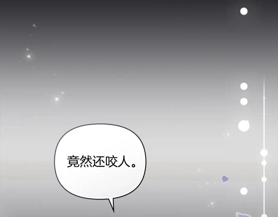 《公爵大人，请别太靠近》第80话 重逢之吻 第16页