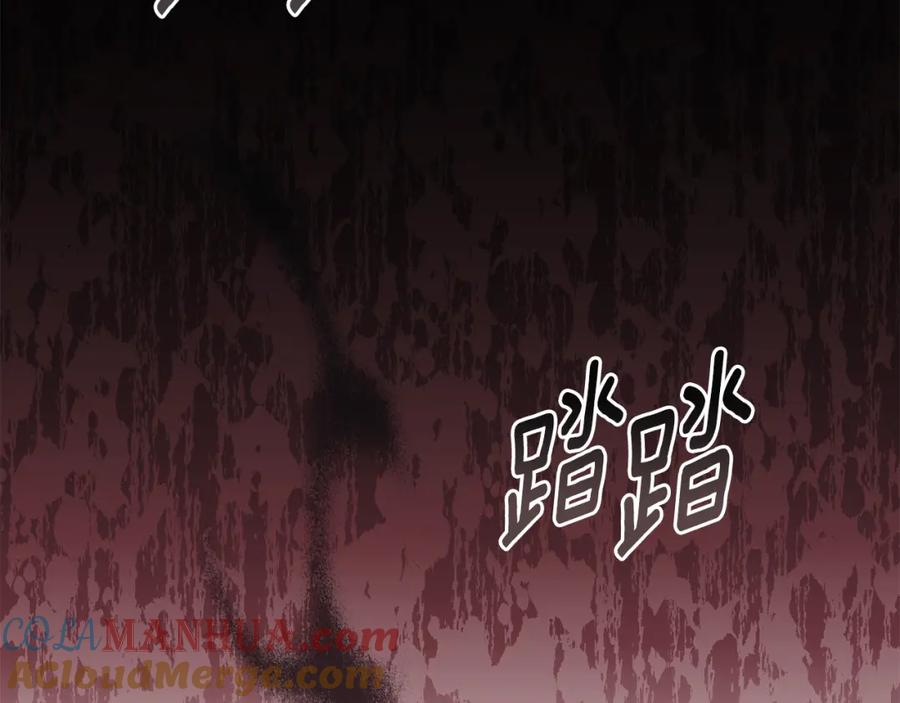 《公爵大人，请别太靠近》第82话 真正的样子 第117页