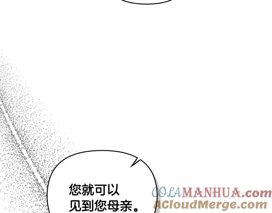 《公爵大人，请别太靠近》第86话 见到母亲 第161页