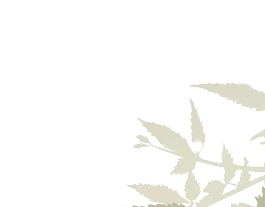 圣子是什么狗屁，这是现代医学的力量 - 第110话 实现经济自由 - 第91张图