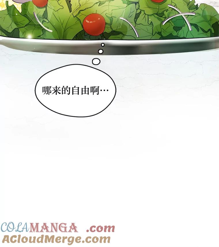公爵夫人的秘密执笔 1.停更噩耗 第70页