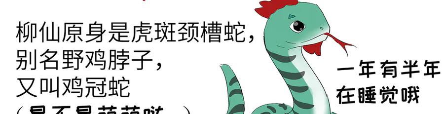 大仙儿 后记 第32页