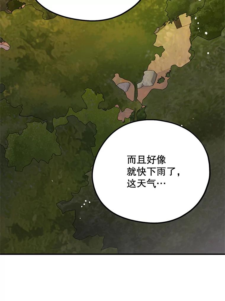 《预知未来的洛琳》67.再次被抓走 第87页