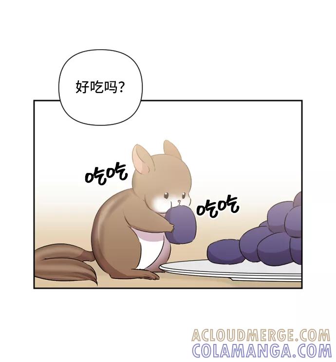 《旧书店里的鬼怪》第41话 第16页