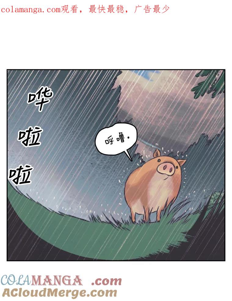 《欢迎收看书生秀》46.惊人的点击量 第1页
