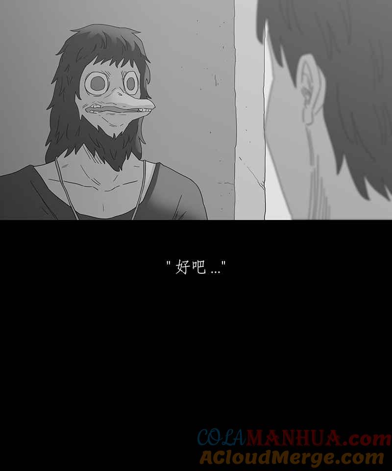 黑盒子 [第215话] 鸟族(3) 第21页