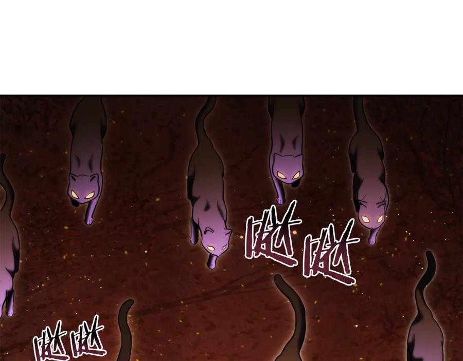 重启地下城 第221话 收服影子猫 第147页
