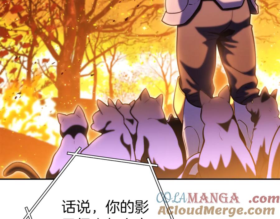 重启地下城 第221话 收服影子猫 第161页