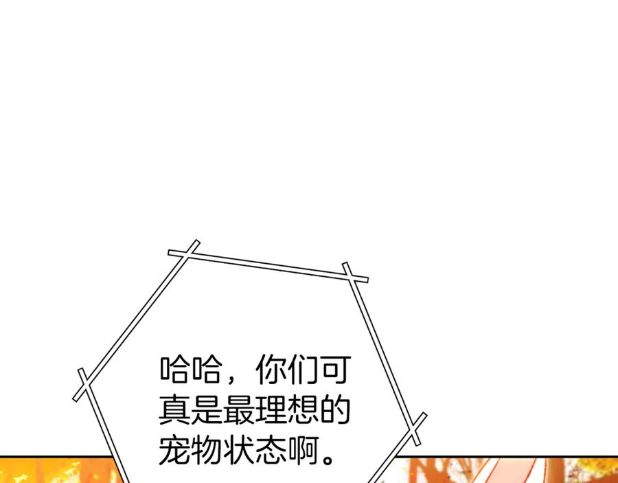 重启地下城 第221话 收服影子猫 第164页