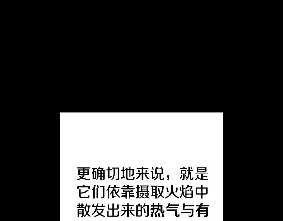 重启地下城 第221话 收服影子猫 第208页